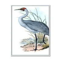 DesignArt 'Антички австралиски птици v' Традиционална врамена платно wallидна уметност печатење