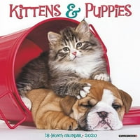 Willow Creek Press Kittens & Puppies Wallиден календар