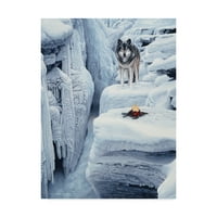 Трговска марка ликовна уметност „Замрзнат водопад“ платно уметност од Рон Паркер