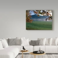 Трговска марка ликовна уметност „Cades Cove“ Canvas Art од D.Д. Мекфарлан