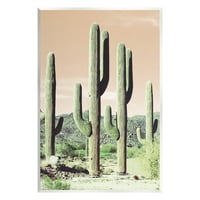 Индустриски студенти, високи кактус растенија, суштински пустински вегетација, природа Фотографија Необраната уметничка печатена