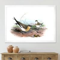DesignArt 'Античка илустрација на птици II' Фарма куќа врамена уметничка печатење